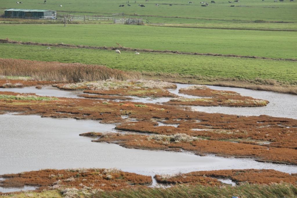 Harger- en Pettemerpolder